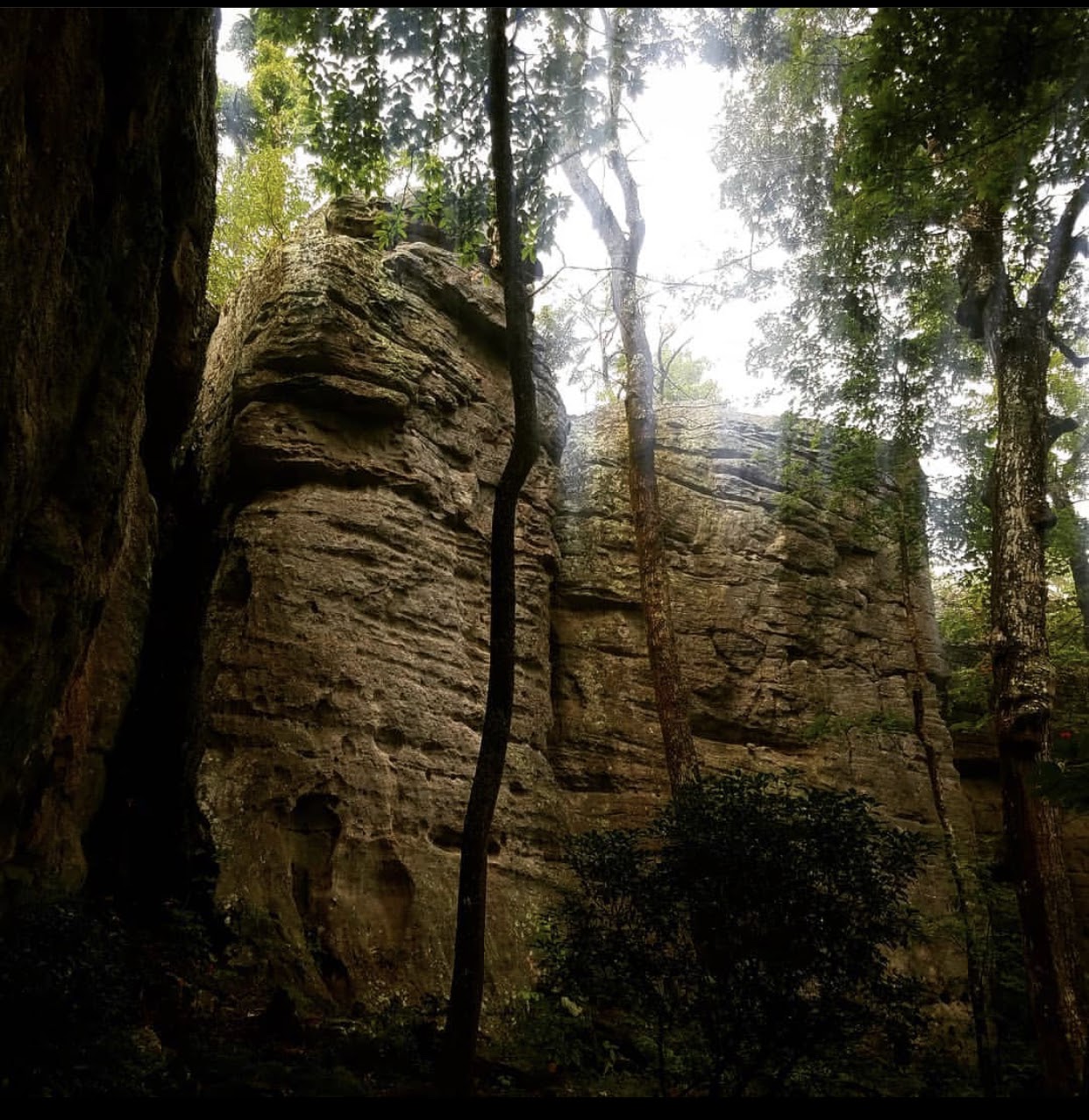 Friends of the Cumberland Trail About Us