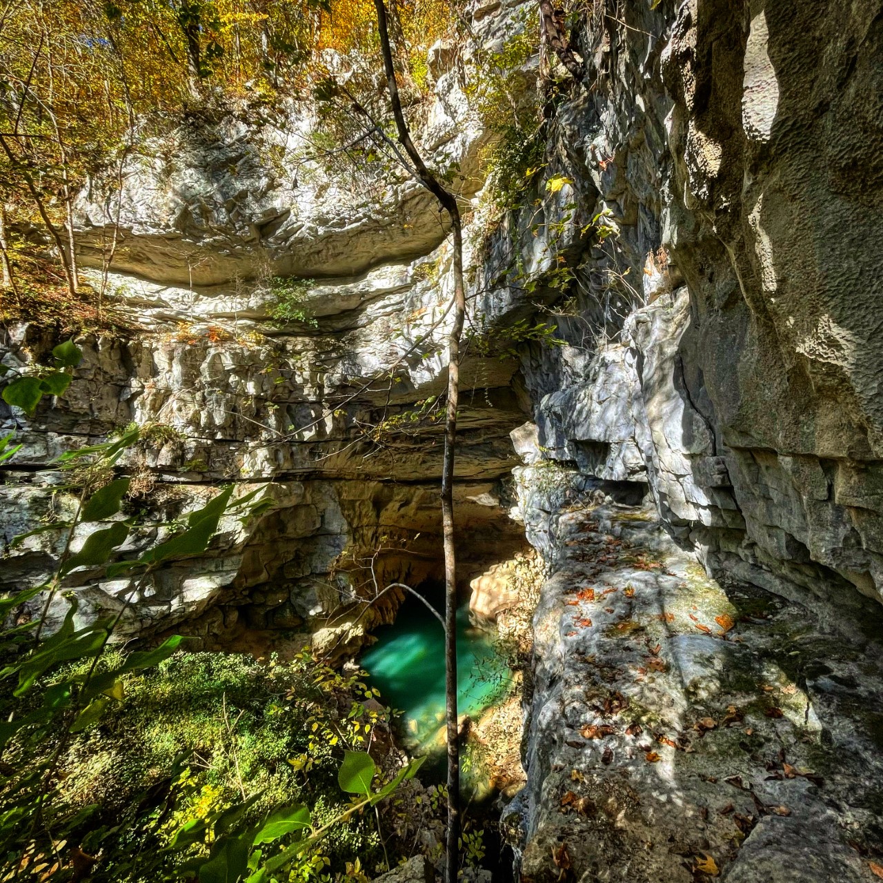 History of the Cumberland Trail